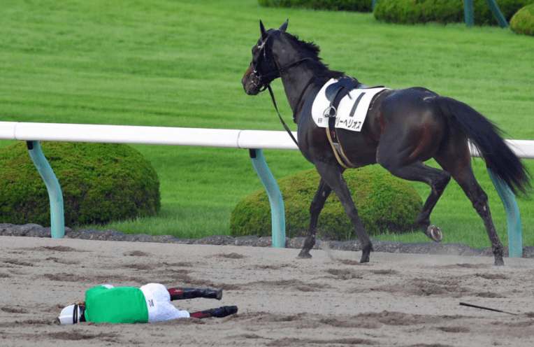 すべての花の画像 ラブリー馬刺し 競走 馬